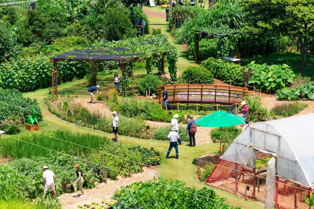 itaipu-agricultura-parana