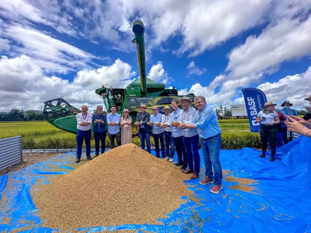 Colheita de Arroz de Santa Catarina