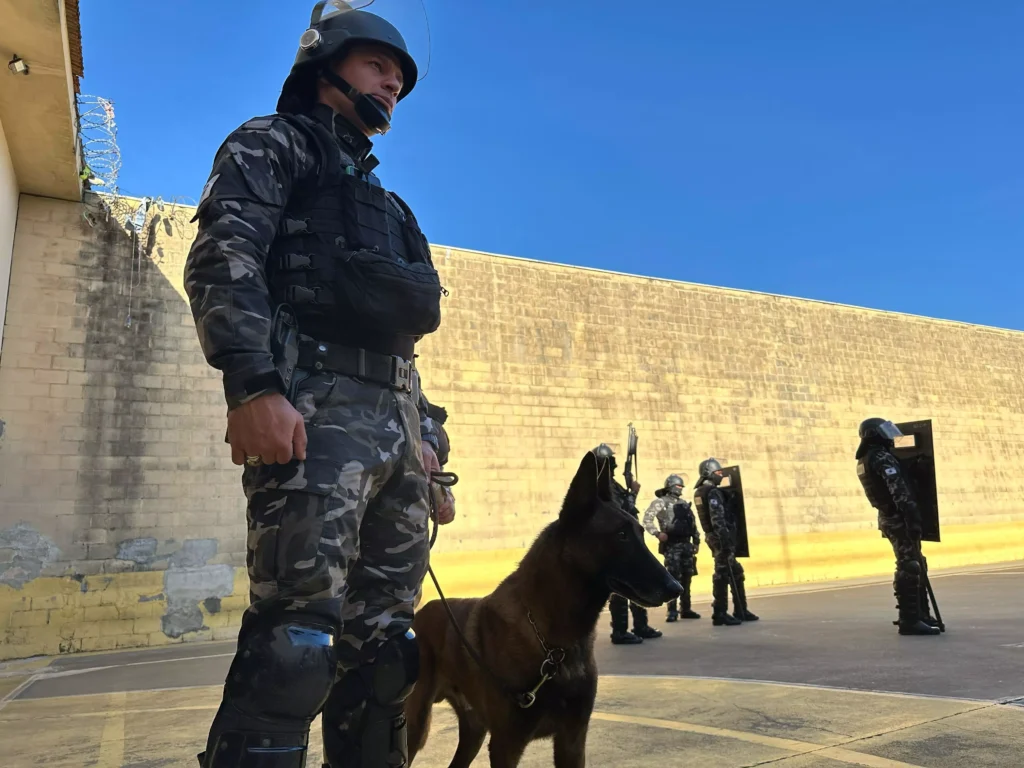 caes-penitenciaria-piraquara-pr