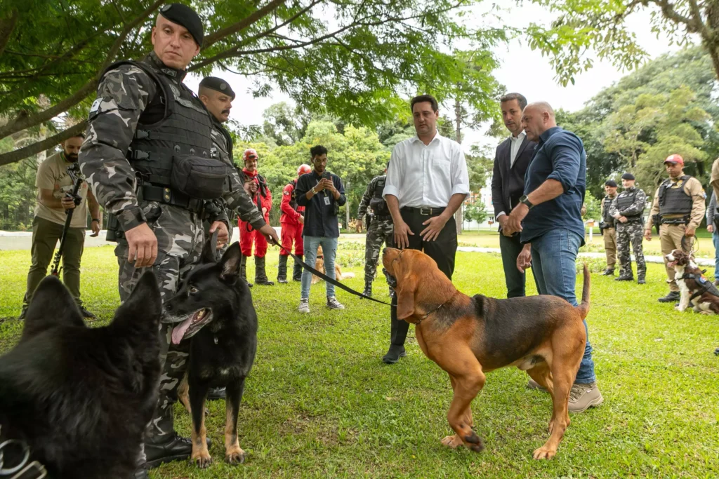 governo-parana-caes-seguranca