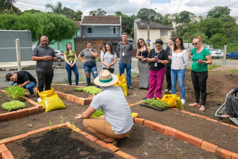 Cultivar Energia - Horta São José dos Pinhais (12)- Copel