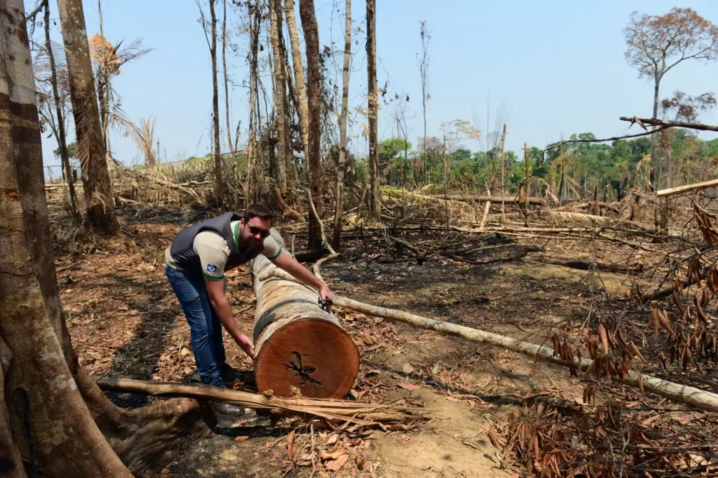 A automação de serviços públicos já evitou o consumo de 900 milhões de litros de água e ajuda a reduzir os impactos ambientais da gestão pública. Foto: Marcos Vergueiro - Secom-MT.