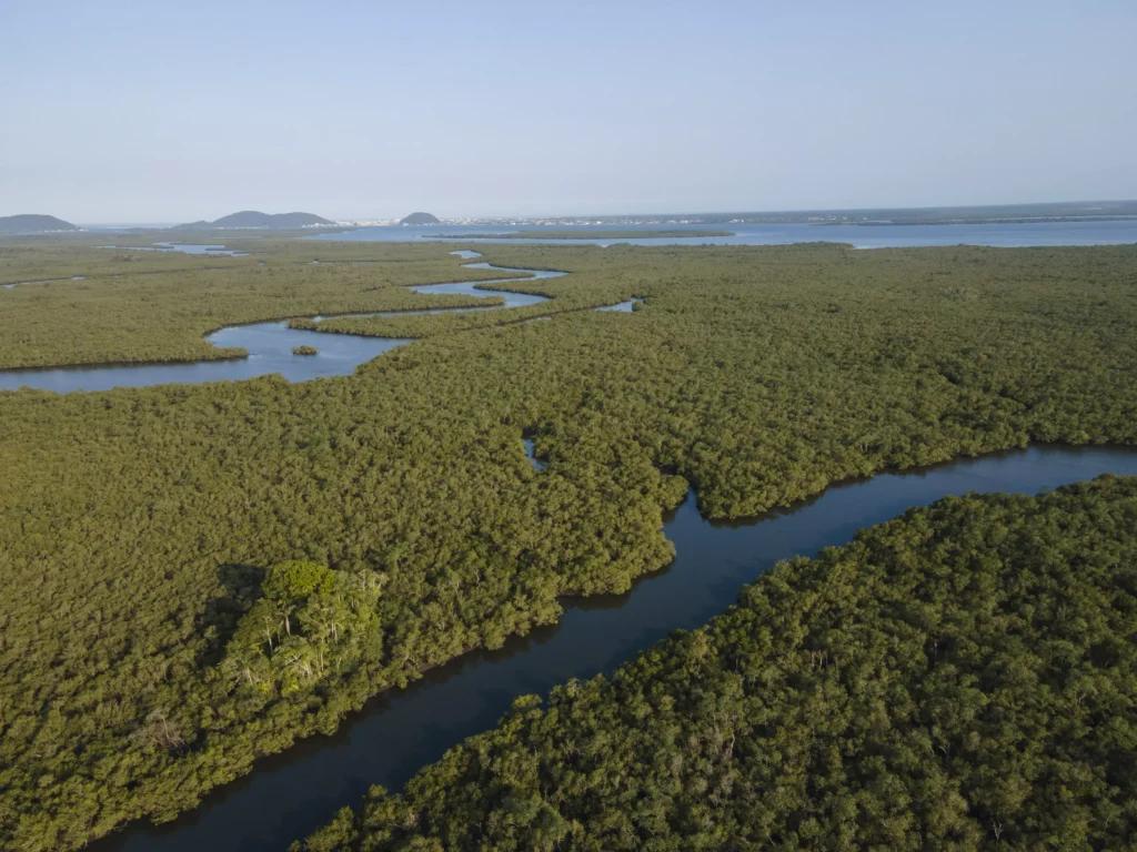 Baia-de-Guaratuba---Guaratuba---PR