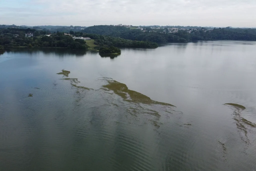 ICMS Ecológico: Estado repassa milhões a cidades com áreas protegidas Foto: Denis Ferreira Netto/SEDEST-PR