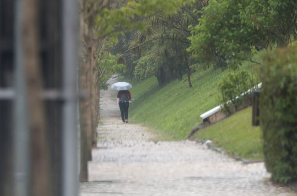 frio-fora-de-epoca:-outubro-registrou-ate-2°c-abaixo-da-media-historica-no-parana