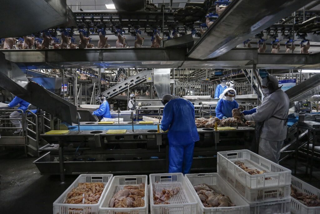 parana-retira-carnes-de-aves-cozidas-da-st-e-aumenta-competitividade-do-setor