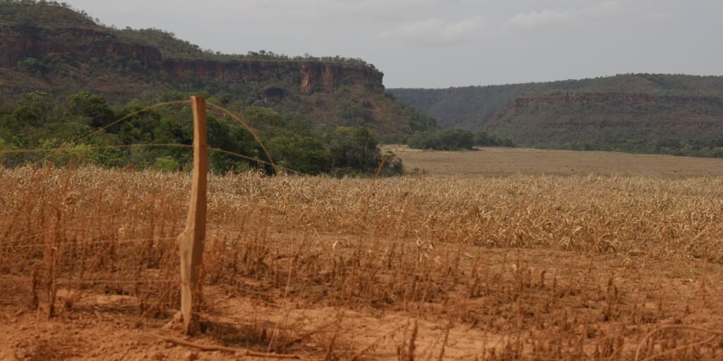 fronteira-cerrado:-desigualdade-no-acesso-ao-estado-agrava-conflitos