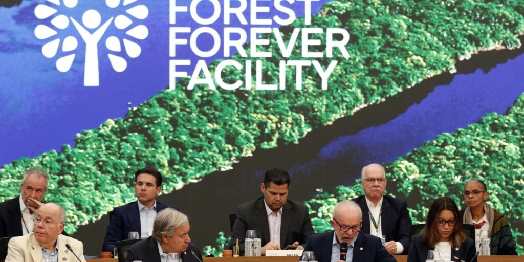 fundo-florestas-tropicais-para-sempre-ultrapassa-us$-5-bilhoes