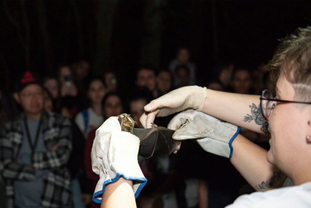 noite-dos-morcegos:-uem-promove-trilha-no-parque-do-inga-que-une-ciencia-e-aventura