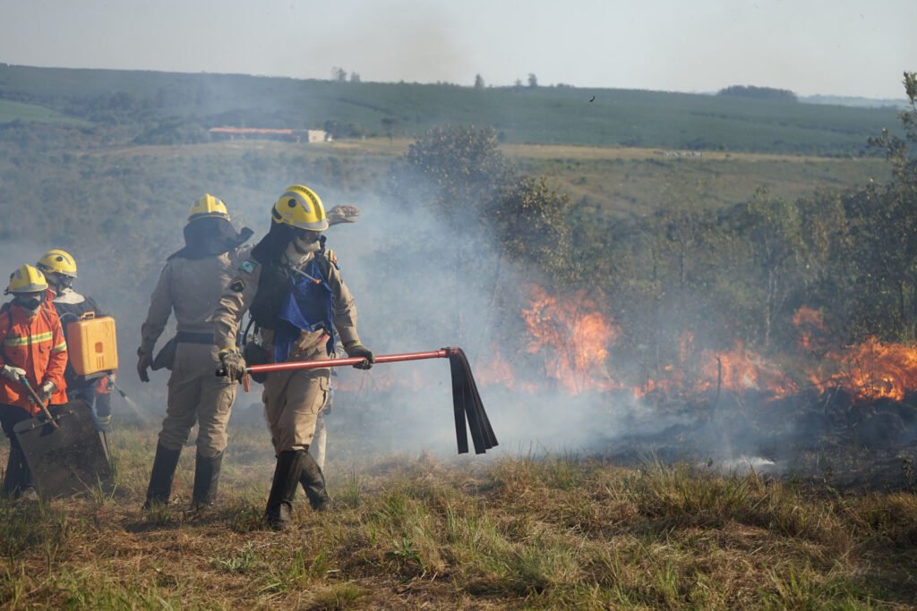 chuvas-e-conscientizacao-da-populacao-reduzem-em-41%-incendios-florestais-no-parana