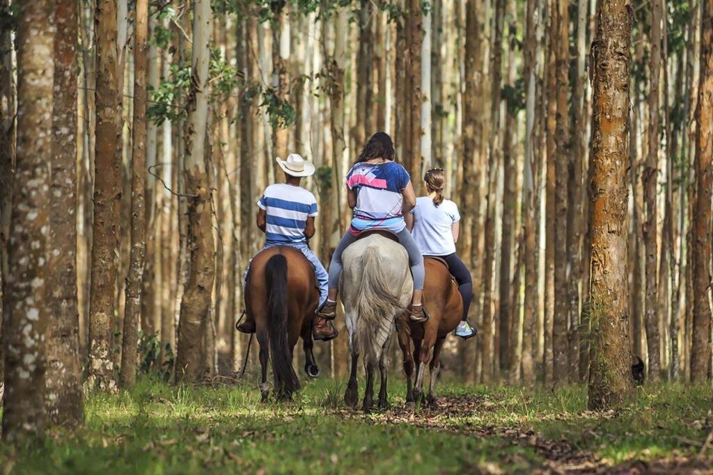 turismo-rural-no-parana:-pesquisa-mostra-expansao-e-qualificacao-no-setor