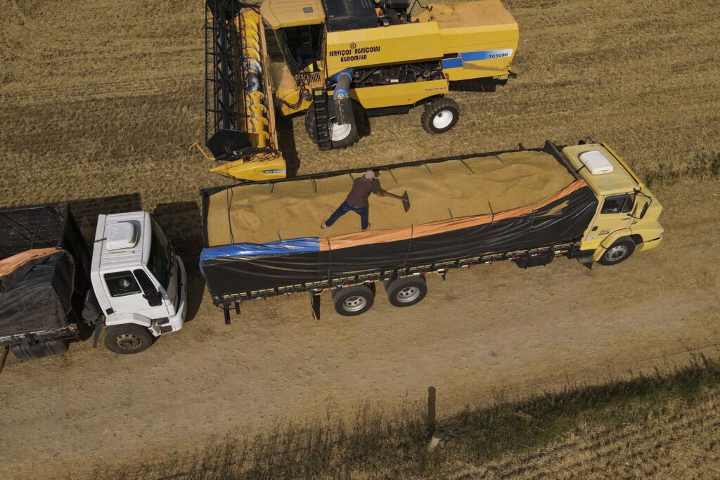 parana-tem-maior-aumento-do-pais-na-estimativa-de-producao-de-graos-em-novembro