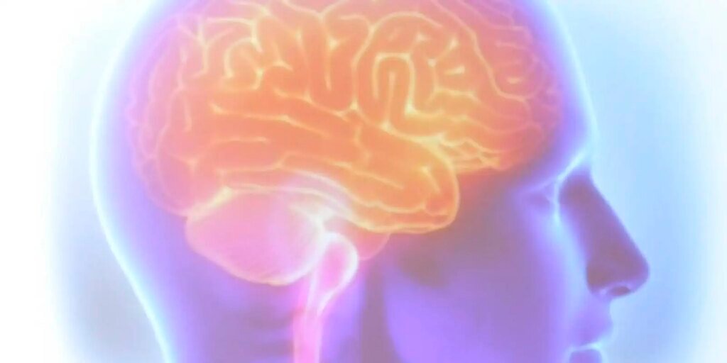 projeto-artemis-avalia-genetica-de-pacientes-que-sofreram-avc