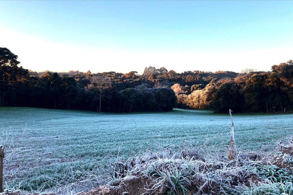 extremos-nas-temperaturas-e-tornados:-2025-registrou-dados-meteorologicos-historicos-no-parana