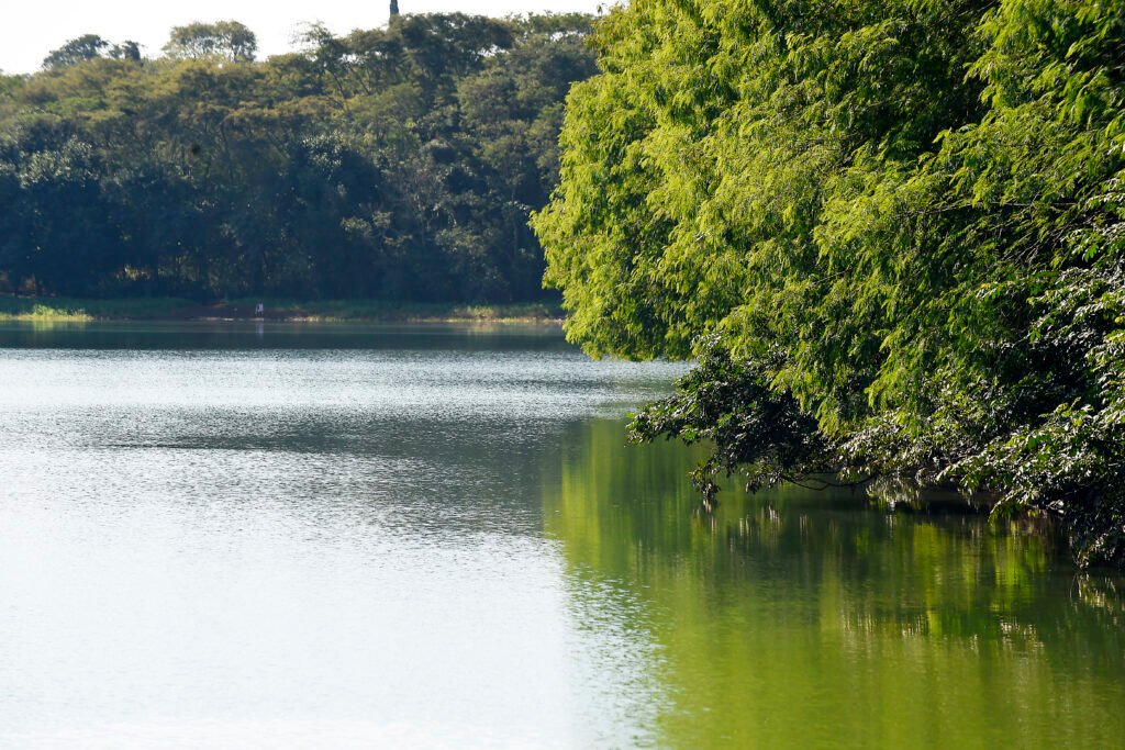 iat-emitiu-2.548-outorgas-para-o-uso-da-agua-no-parana-em-2025