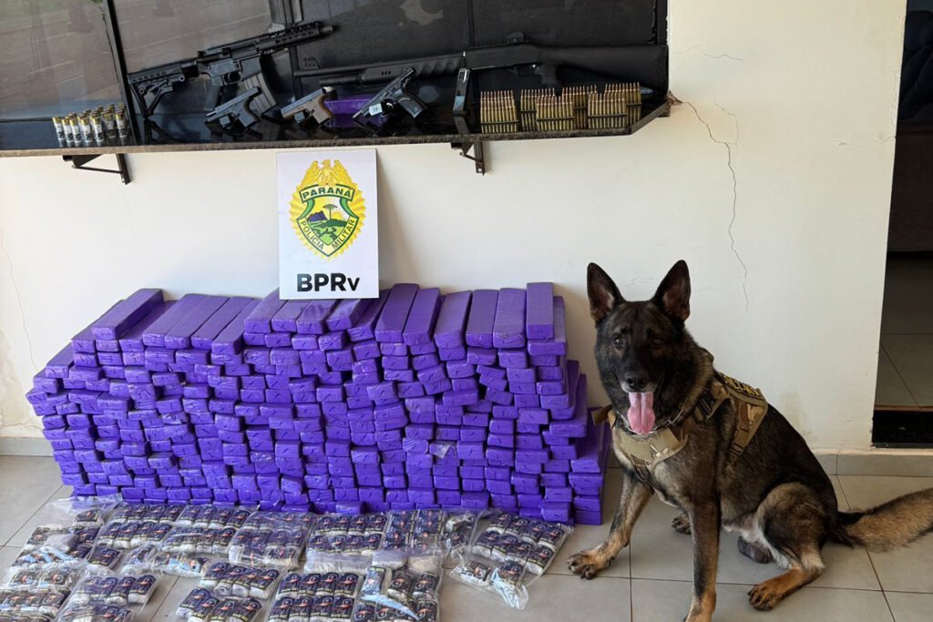 pmpr-apreende-210-quilos-de-drogas,-fuzil-e-quatro-armas-em-abordagem-em-ipora