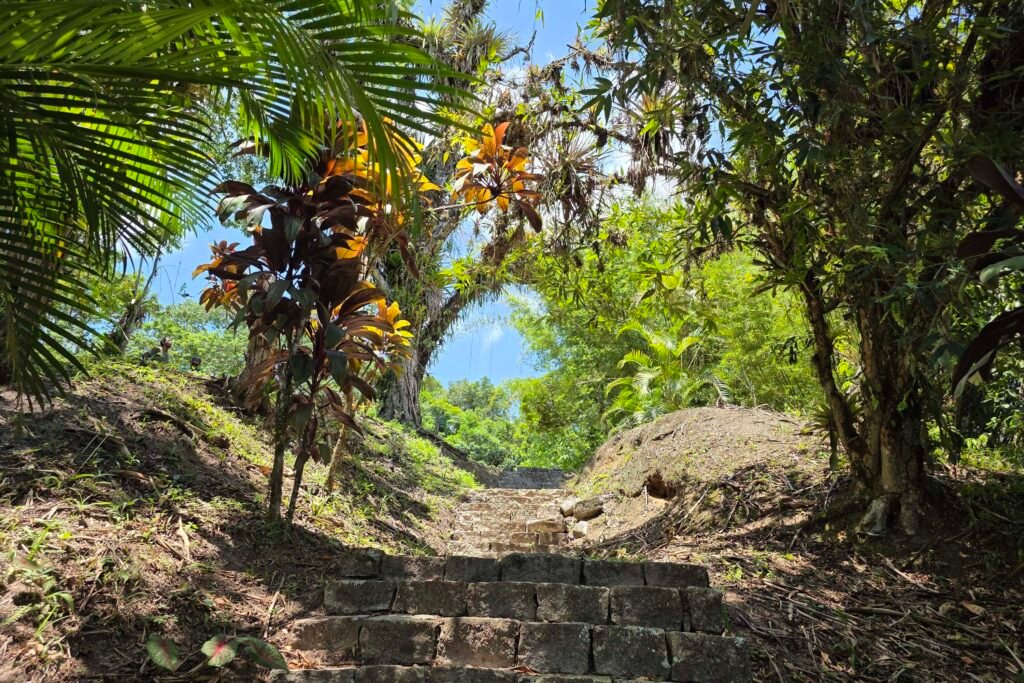 verao-maior-parana-tera-oficina-sobre-restauracao-ecologica-no-parque-do-palmito