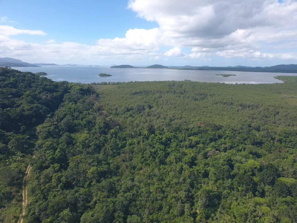 Parana__RPPN-Encantadas-em-Antonina-PR-.-Acervo-Mater-Natura