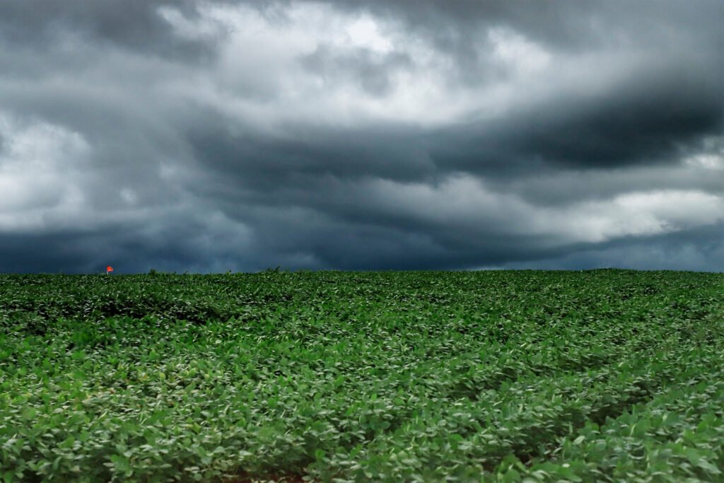 tempestades-atingem-campos-gerais-e-norte-do-parana-e-seguem-em-direcao-ao-leste