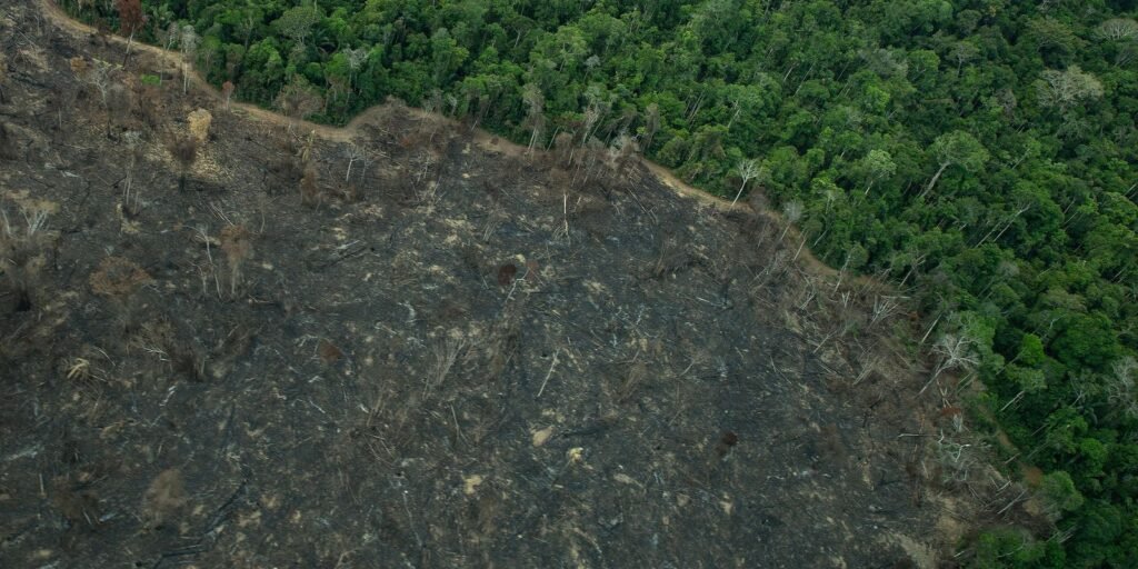 operacao-aplica-r$-28-milhoes-em-multas-ambientais-no-amazonas
