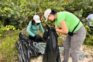 mutirao-da-portos-do-parana-recolhe-quase-200-kg-de-residuos-em-manguezais