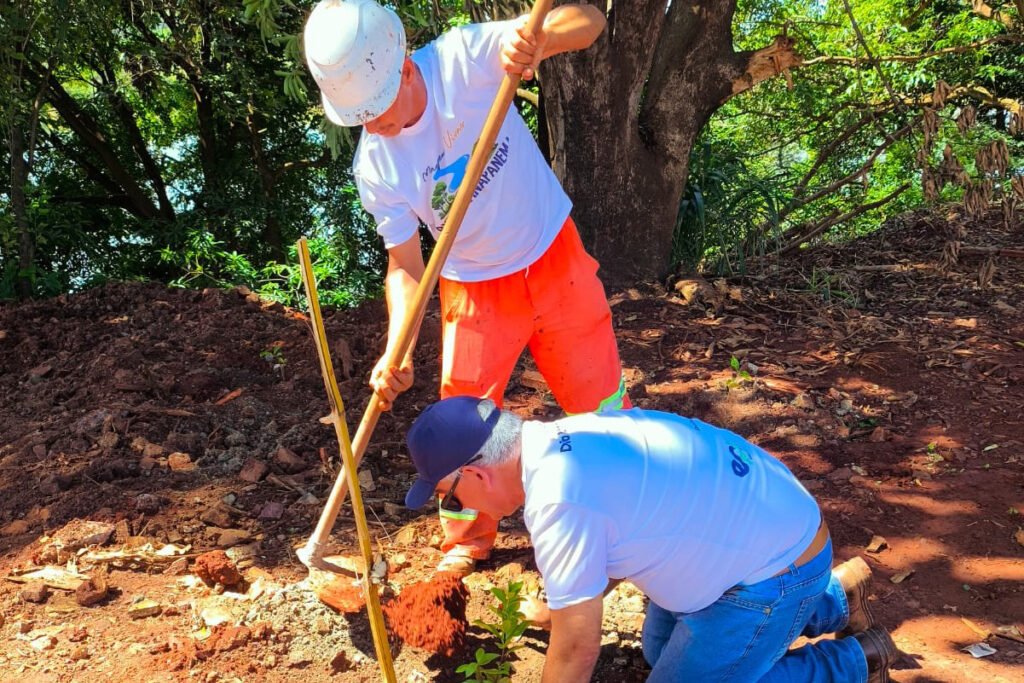 iat-e-epr-litoral-pioneiro-promovem-recuperacao-de-mata-ciliar-no-rio-paranapanema