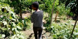 horta-comunitaria-reune-memoria,-cuidado-e-cidadania-em-favela-do-rio