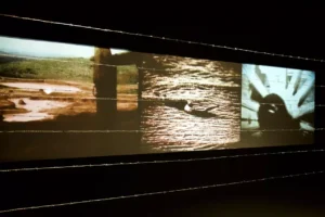 Videoinstalacao-Janauba-Foto-Isabel-Moreira-Leandro-Aragao