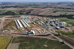 grupo_potencial_foto_rdziura-4