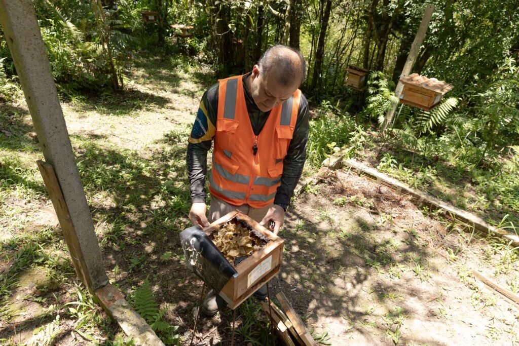 sanepar-resgata-mais-de-70-colmeias-de-abelhas-nativas-no-reservatorio-miringuava