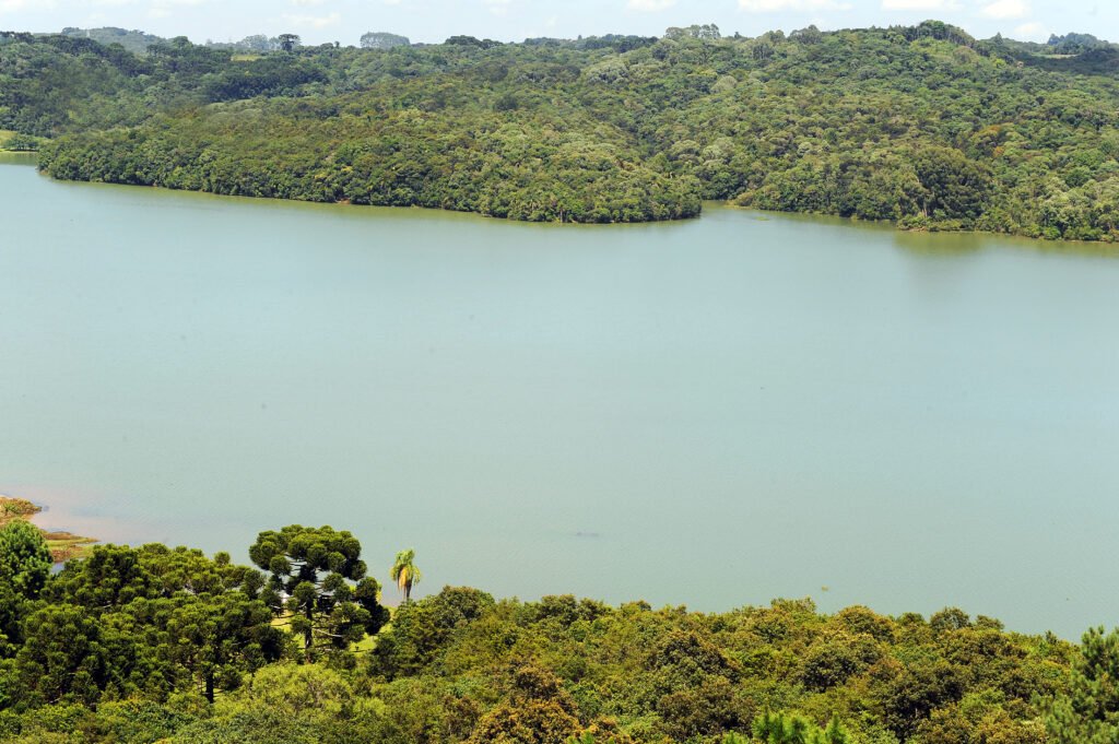 cbh-alto-ivai-promove-encontro-em-lidianopolis-para-motivar-a-educacao-ambiental