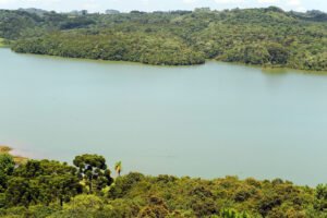 cbh-alto-ivai-promove-encontro-em-lidianopolis-para-motivar-a-educacao-ambiental