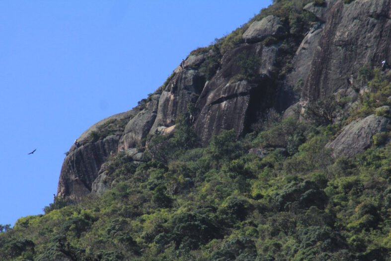 temporada-de-montanhas-no-parana:-veja-dicas-para-garantir-um-passeio-seguro