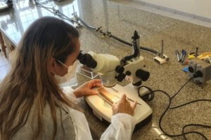 combate:-parana-monitora-arboviroses-com-sistema-eficiente-e-de-baixo-custo