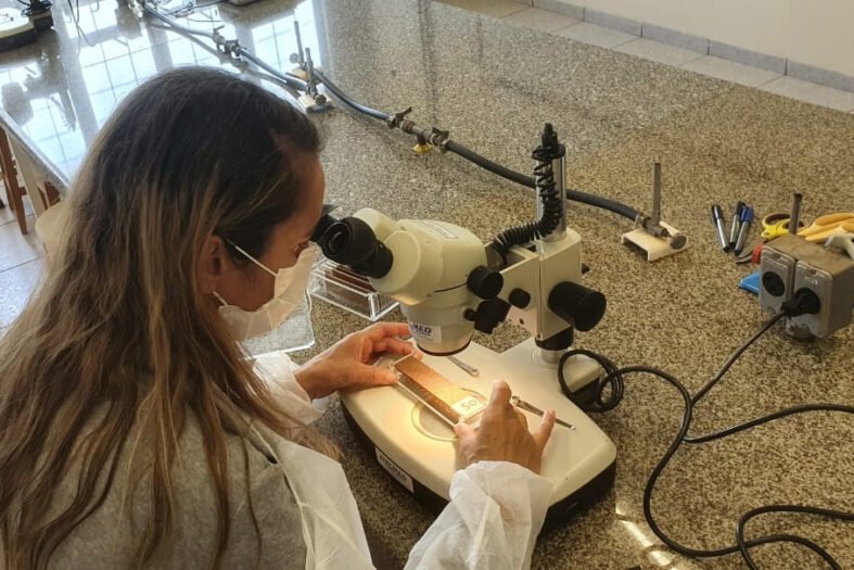 combate:-parana-monitora-arboviroses-com-sistema-eficiente-e-de-baixo-custo