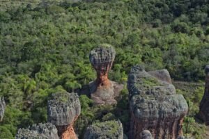 feriado-tera-tempo-estavel,-mas-chuva-e-frio-voltam-ao-parana-no-fim-de-semana