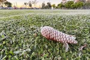 sinais-de-inverno:-maio-tera-frentes-frias,-geada-e-temperaturas-abaixo-de-10°c