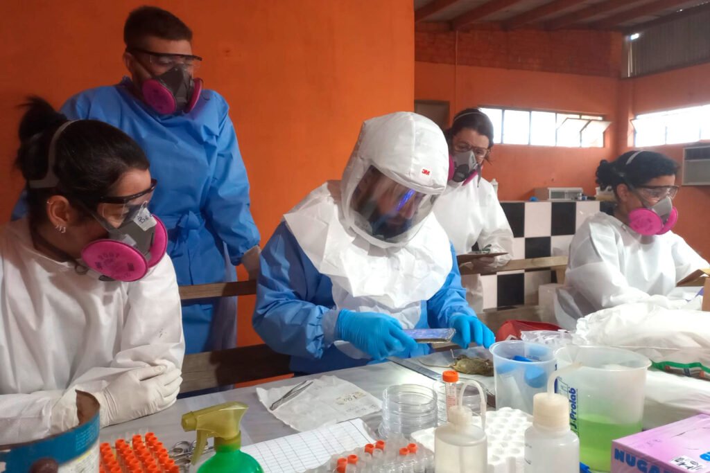 parana-mantem-vigilancia-rigorosa-contra-hantavirose