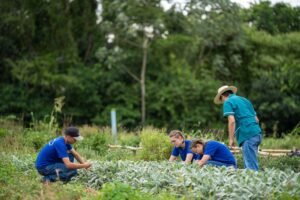 programa-que-aproxima-colegios-agricolas-de-universidades-vai-receber-r$-3,4-milhoes