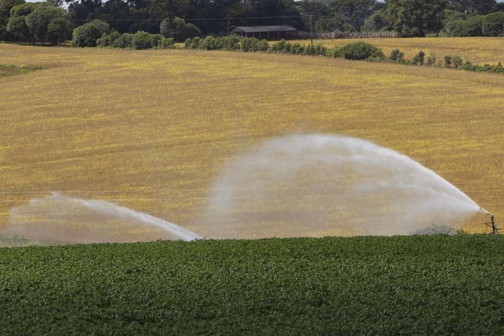 icms-zero:-parana-prorroga-isencao-para-produtos-agropecuarios-ate-2026