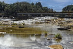 gestao-da-agua:-cbhs-rio-jordao-e-rio-tibagi-tem-reunioes-na-proxima-semana