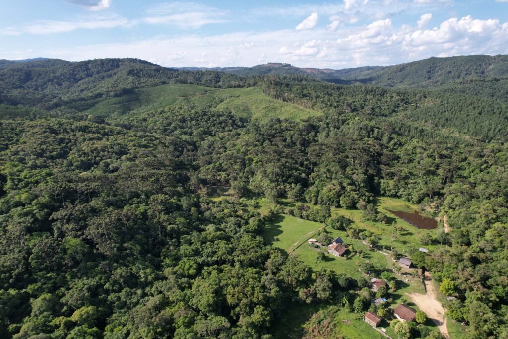 parana-vai-ganhar-uma-londrina-de-area-protegida-com-novas-ucs-em-estudo-pelo-iat