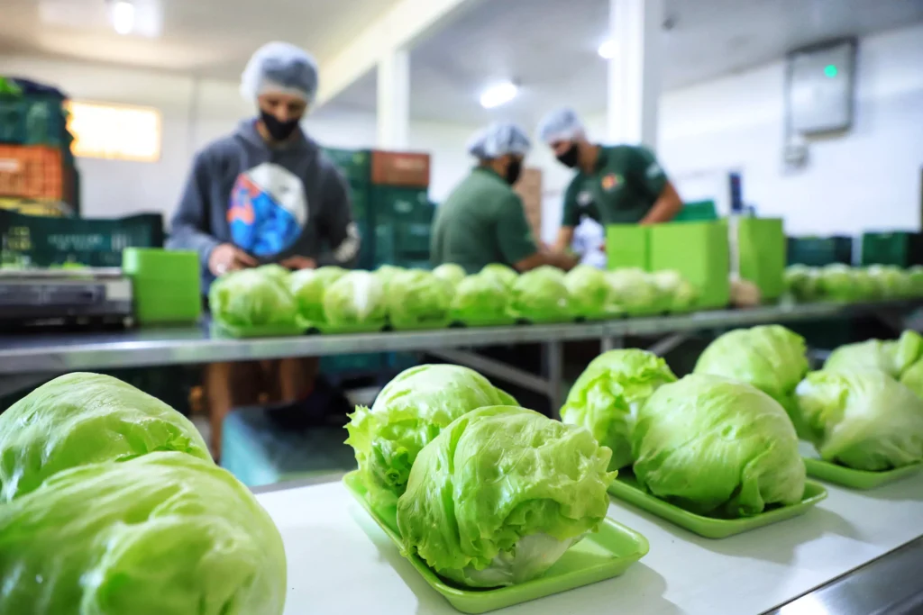 Paraná bate recorde de investimento em alimentos orgânicos nas escolas