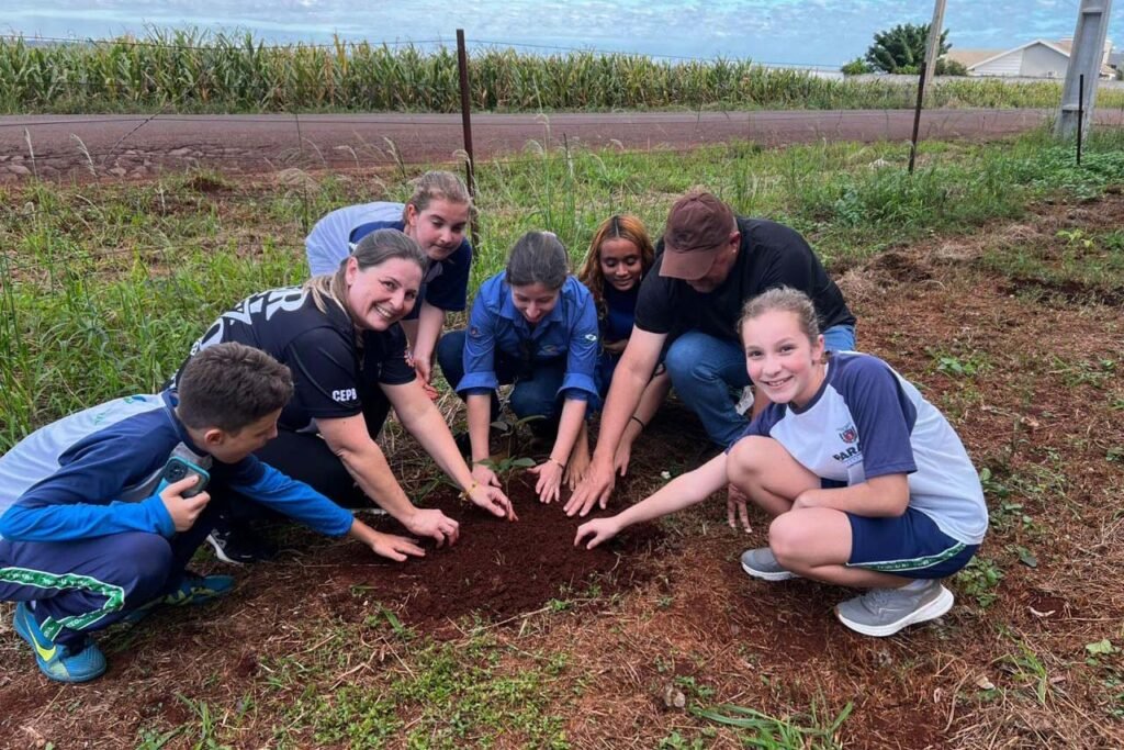 com-entrega-de-mudas,-semana-do-meio-ambiente-ajuda-a-regenerar-4,8-hectares-no-parana