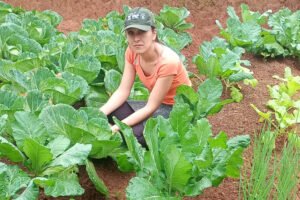 seguranca-alimentar-e-renda:-idr-parana-implanta-hortas-domesticas-em-campo-largo