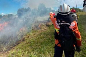 idr-parana-participa-de-campanha de-prevencao-e-combate-a-incendios-florestais 