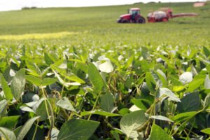 complexo-soja-impulsiona-agronegocio-do-parana-com-faturamento-de-us$-2,94-bilhoes-ate-maio