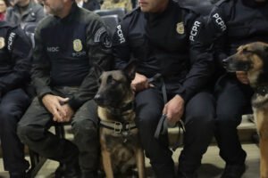 policia-civil-do-parana-apreende-armas-e-haxixe-na-rodoviaria-de-curitiba