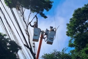 copel-realiza-mutirao-de-poda-preventiva-em-cornelio-procopio-e-rolandia-neste-domingo 