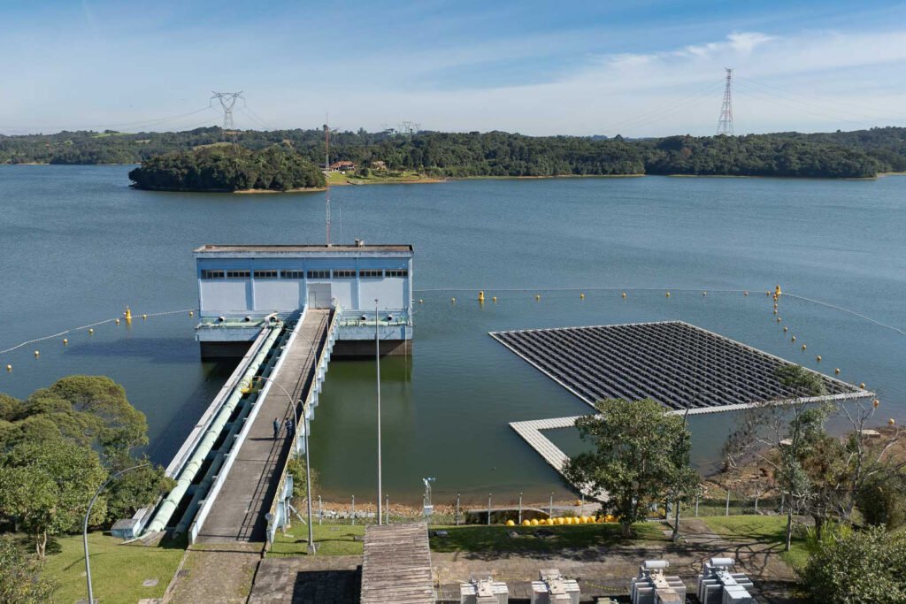 sanepar-e-ufpr-estudam-peixe-que-atua-como-filtro-e-reduz-gases-do-efeito-estufa